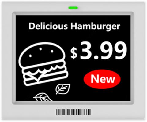 ESL-E133A-N - digitální elektr. papír, 13.3